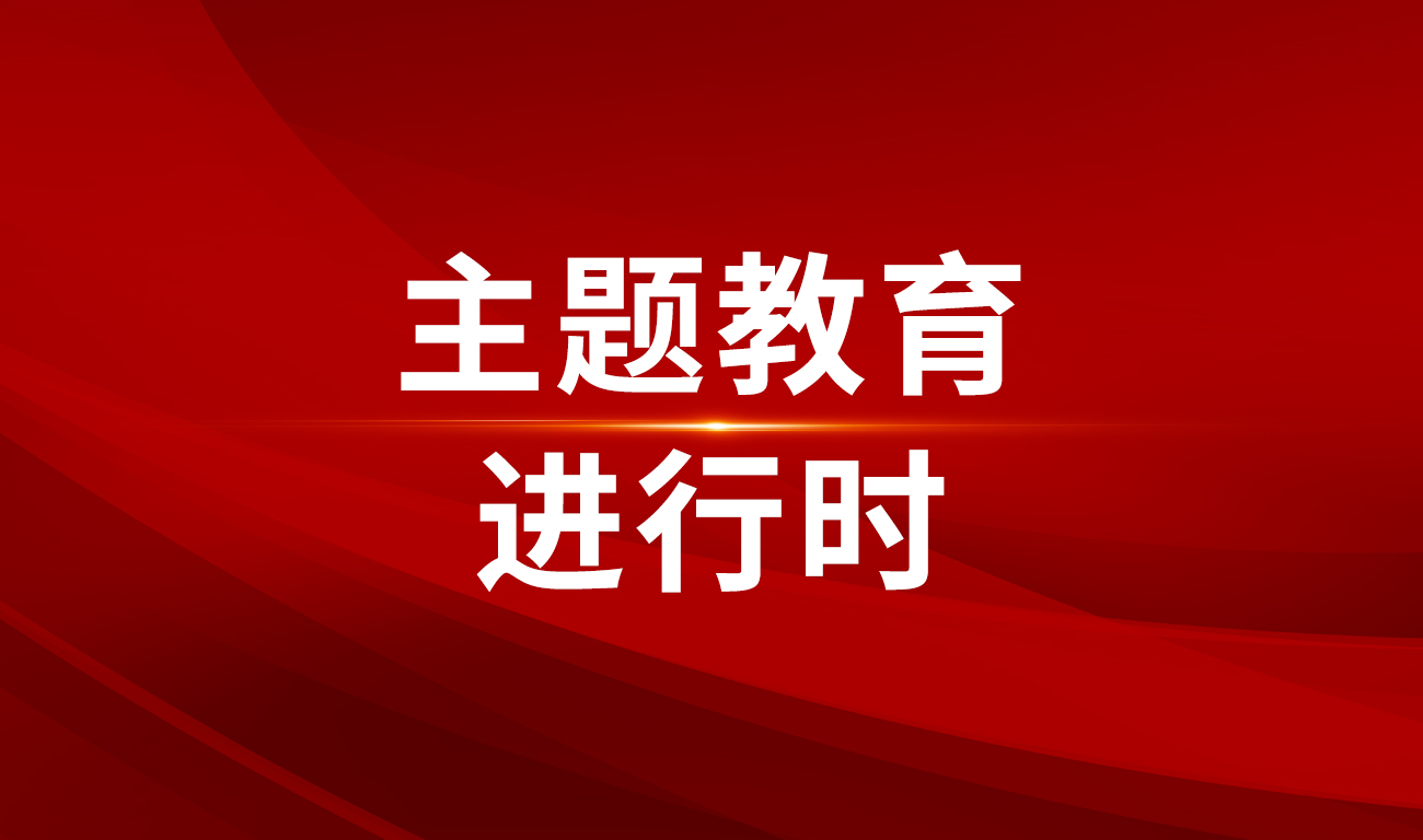 主题教育进行时 | 浙商中拓聚焦“一号发展工程”以调查研究深入推进数字化建设